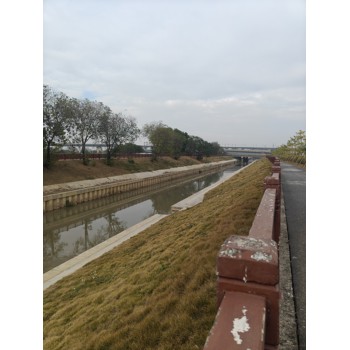重塑河岸之美，U型板樁