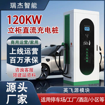 瑞杰新能源120KW双枪直流充电桩自动充满/定电量/定金额/定时间