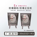 防爆電氣柜不銹鋼防爆外殼防爆控制箱防爆儀表箱柜