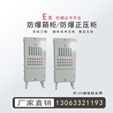 防爆動(dòng)力配電箱防爆控制柜防爆電箱防爆外殼防爆箱柜