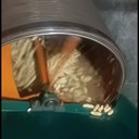 家用小型花生清洗機藥材洗泥機篩網滾籠洗薯機呈昊銷售