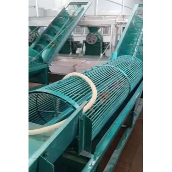 200型地瓜洗泥機(jī)鼠籠螺旋清洗上料機(jī)洗紅薯機(jī)呈昊銷售