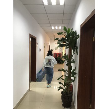 防封號電銷卡