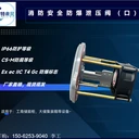 氣體滅火泄壓口IP66防護等級儲能柜用防爆泄壓口