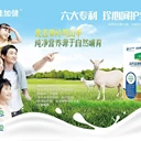有機(jī)純羊奶，富硒高鈣配方羊奶，初乳球蛋白羊乳粉。