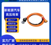新能源汽車快充線束電池動力高壓線束派歌銳