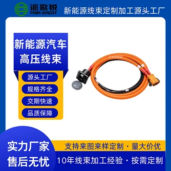 新能源汽車(chē)快充線束電池動(dòng)力高壓線束派歌銳