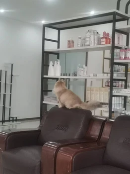 寵物洗護(hù)產(chǎn)品