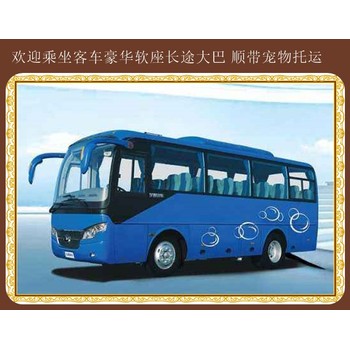 大連到淄博汽車專線直達