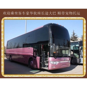 直達(dá):安圖到淄博大巴客車(chē)準(zhǔn)點(diǎn)發(fā)車(chē)