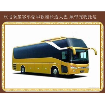 客車:蛟河到義烏專線汽車準(zhǔn)時(shí)發(fā)車