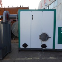 油脂加氫生物質(zhì)D級蒸汽鍋爐0.8Mpa蒸汽發(fā)生器