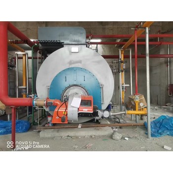 低氮環(huán)保蒸汽鍋爐2噸1.25MPaWNS型適用于建材養(yǎng)護(hù)廠(chǎng)家直供