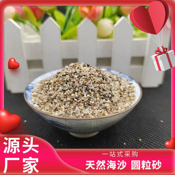 威海市天然水處理海砂廠家
