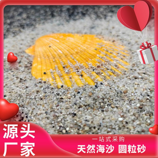 定州市戶外排球海沙石英砂價(jià)格