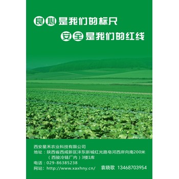 西安食堂食材供應鏈公司這家好