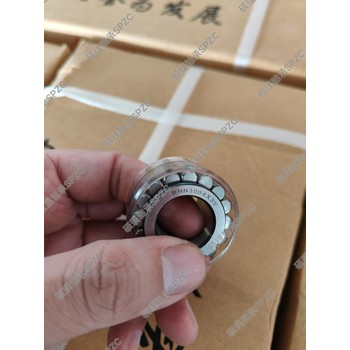 洛陽碩璞軸承無外圈RNN3005X3V