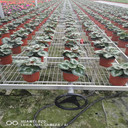 便捷移動(dòng)苗床，育苗勞作輕松化