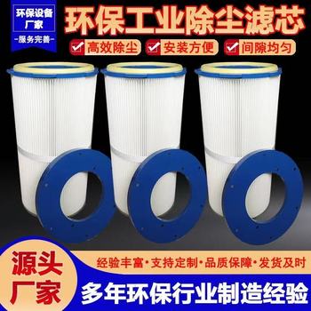 廠家供應(yīng)東麗ptfe六耳快拆粉塵濾芯325*1000
