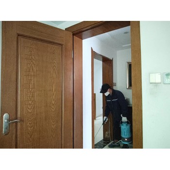 成都殺臭蟲多少錢
