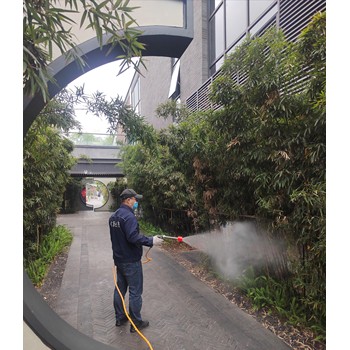 成都店鋪滅白蟻收費