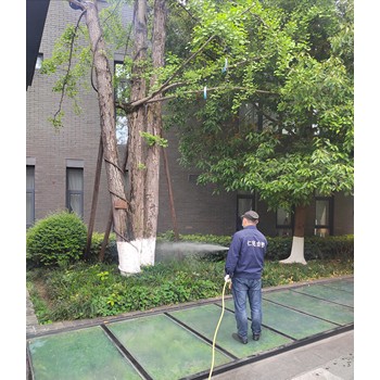 成都捕鼠手機號