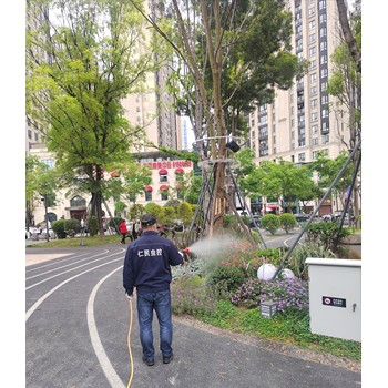 成都殺臭蟲多少錢