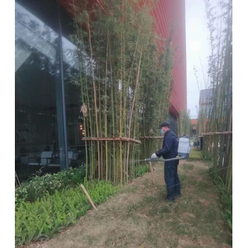 成都捕老鼠電話