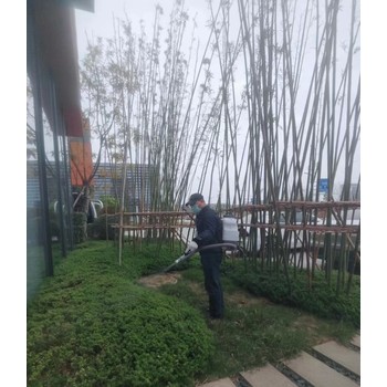 成都滅白蟻站排名