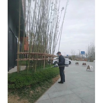成都店鋪滅白蟻收費