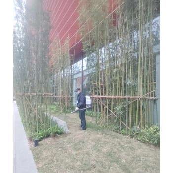 成都捕老鼠電話