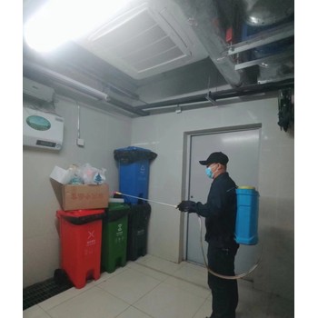 成都滅千竹蟲公司勘察
