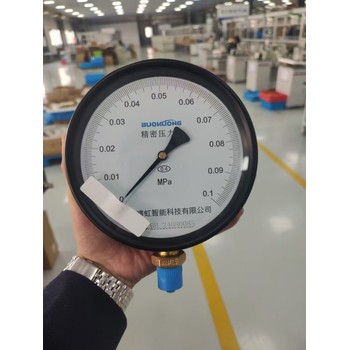 YB-150精密壓力表