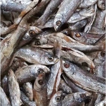 河源鑫旺萬綠湖河鮮水產(chǎn)品批發(fā)配送石堅青竹鱘龍草魚