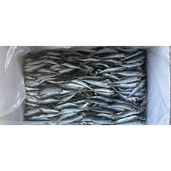 冷凍水產(chǎn)品進口清關(guān)、國際運輸。貿(mào)易代理