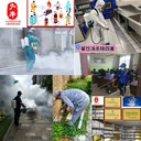 深圳四害消殺承接大小工程滅鼠滅蟑除蚊蠅防治白蟻安心無憂享健康