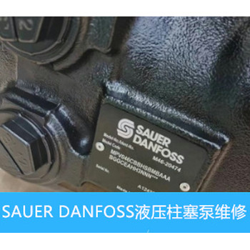 美國薩奧SAUERPV42-28恒量柱塞泵振動大維修