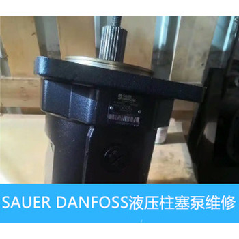 美國薩奧SAUERPV42-28恒量柱塞泵振動大維修