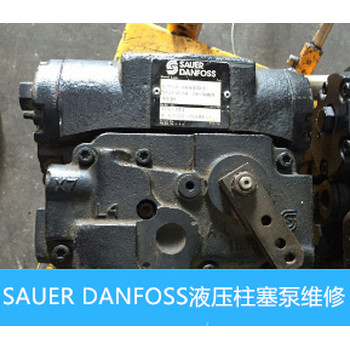 美國薩奧SAUERPV42-28恒量柱塞泵振動大維修