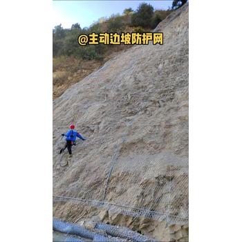 8x30國標(biāo)主動防護(hù)網(wǎng)供應(yīng)