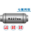R227ea制冷劑七氟丙烷氟利昂環(huán)保冷媒雪種凈重10kg