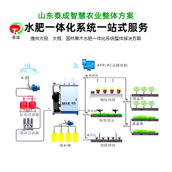 安徽芜湖智能化水肥一体机厂家批发价格