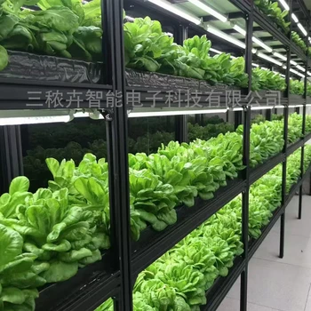 LED植物生長(zhǎng)燈