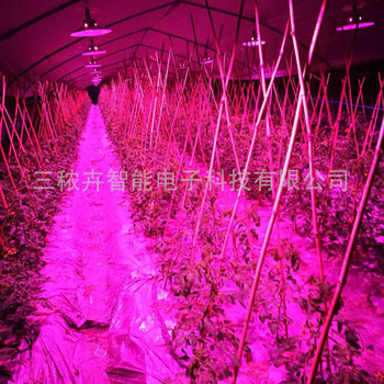 30W-大棚番茄補光燈