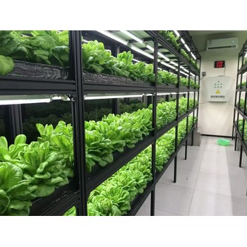 60cm-LED植物生長(zhǎng)燈