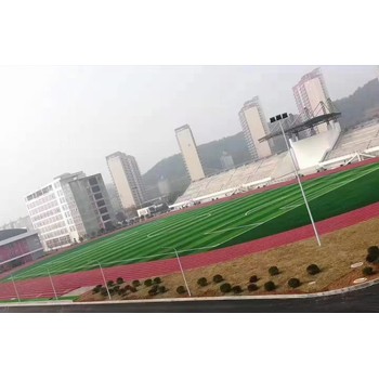 江西萍鄉(xiāng)宜春新余塑膠跑道材料廠家EPDM塑膠跑道施工