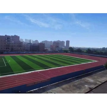 河南許昌商丘塑膠跑道材料廠家EPDM塑膠跑道材料施工