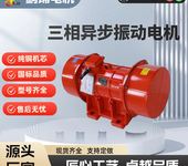 制造.振動(dòng)電機(jī).力矩電機(jī).輥道電機(jī).變頻電機(jī).倉壁震動(dòng)器.生產(chǎn)廠家