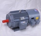 鵬錦YZP變頻電機(jī)鵬錦電機(jī)廠家