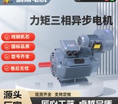 制造YLJ、YLJF系列力矩電機(jī).概述-鵬錦電機(jī)